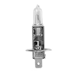 Spotlight - Ampoule H1 iode 12V, Ampoule type H1 P14.5S 100W - Ampoule H1 12V krypton - Ampoule blanche - Non homologué pour tous véhicules, réservée aux véhicules agricoles