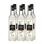 1883 Maison Routin Premium Gomme & Cane Sugar Syrup for Cocktails & Mocktails Glass 700ml x 6