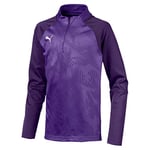 Puma CUP Training 1/4 Zip Core Sweater - Prism Violet/Parachute Purple, Size 116