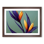 The Bird Of Paradise Flower Vol.5 H1022 WHT Framed Print for Living Room Bedroom Home Office Décor, Wall Art Picture Ready to Hang, Walnut A2 Frame (64 x 46 cm)