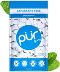 100% Xylitol Chewing Gum, Sugarless Peppermint, Sugar Free + Aspartame Free + Gl