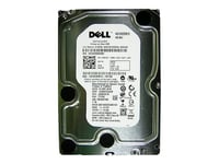 Dell - Hårddisk - 1 Tb - Intern - 3,5" - 7200 Rpm - Istandsat - För Poweredge R210, R310, R515, R710, T110, T410, T610, T710  Precision T3500, T5500