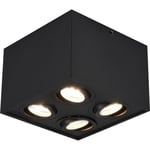 Trio Lighting Biscuit påbygningsspot, 4 spots, sort