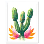 Colourful Cactus Plant In Flower Painting Art Print Framed Poster Wall Decor 12x16 inch