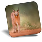 Awesome Fridge Magnet - Caracal African Lynx Cat Cool Gift #3170