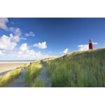 Papier Peint Photo INTISSÉ-(214036)-PLAGE DE SABLE DU PHARE-300x223cm-6 lés-Mural Poster Géant XXL-Fleur Beach Mer Océan Nature