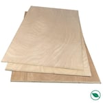 Contreplaqué Powerplex Bio - FORESTEA - 1200 x 600 x 5 mm - FSC 100%