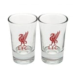 Liverpool FC Tvåpack Word Mark Shot Glas En Storlek Transparent Transparent/Red One Size