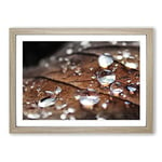 Big Box Art Rain Drops on an Autumn Leaf (3) Framed Wall Art Picture Print Ready to Hang, Oak A2 (62 x 45 cm)