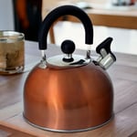 Stovetop Whistling Kettle 2.5L Copper Stainless Steel Gas Electric Induction Hob