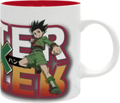 HUNTER X HUNTER GON & KIRUA COFFEE MUG CUP NEW IN GIFT BOX ABY