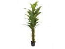 Manufacturer In Review Kunstig Plante Strelitzia 180Cm HP26422612