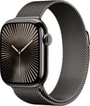 Apple Watch S10 46mm GPS+Cel (Slate Titanium/Slate Milano loop) S/M