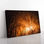 Big Box Art Sun Rays Through The Trees Painting Canvas Wall Art Print Ready to Hang Picture, 76 x 50 cm (30 x 20 Inch), Brown, Cream, Cream