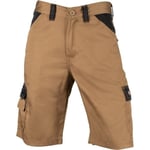 Dickies Workwear Mens Everyday Shorts - 34R