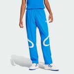 adidas Adicolor Teamgeist Track Tracksuit Bottoms Men