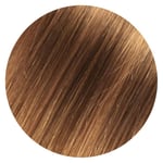 Showpony Halo Box Set 3in1 7AG 9N H/Light Dark Blonde 50cm