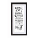 Arora The Ultimate Gift for Man Printed Word Poster-Black Wooden Framed Wall Art Picture-Cricket Mad, Multicolour, One Size, Living Room