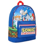 Sonic the Hedgehog School Bag Kids Backpack for Boys Blue Large Capacity Backpack for School Travel Sports Book Bag 2 Pockets Sonic Gifts for Boys (Dark Blue)