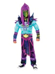 Child He-Man and the masters of the universe Skeletor Fancy dress Costume