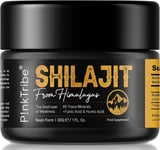 Shilajit Resin Original Himalayan Shilajit 30g Gold Grade 100% Pure Pack of 1