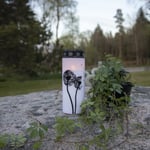 Gravljus Dandelion LED med timer