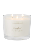 The White Company Grapefruit & Mandarin 3 Wick Scented Candle, 770g