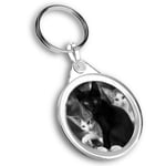 Keyring Circle - BW - Cute Kittens Black Tabby Ginger Cat  #43908