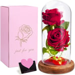 Rose Eternelle sous Cloche,la Belle et la Bête Rose,Fleur Eternelle avec Lumière LED,Faux Rose Abat-Jour en Verre,Mariage Maison Décor, Cadeau pour Maman/Femme/Mere/Mamie/Petite Amie