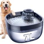 FEELNEEDY 7L Fontaine à Eau pour Chat et Chien avec 2 Filtres, Distributeur Eau Chat avec Pompe Ultra Silencieuse pour Plusieurs Chats, Chiens, Animaux De Compagnie