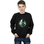 Sweat-shirt enfant Fantastic Beasts  BI16717