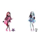 Monster High Doll, Draculaura with Accessories and Pet Bat, Posable Fashion Doll with Pink and Black Hair, HHK51 & Doll, Frankie Stein with Accessories and Pet, Posable Fashion Doll​​​, HHK53