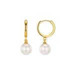 Orelia Pearl Drop Huggie Hoops