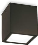 Techo, Udendørs loftslampe, GU10 max 1 x 20W, GU10, sort, metal, glas, L150xH160xB150mm