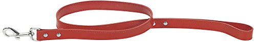 CHAPUIS SELLERIE Laisse pour Chien Simili Cuir Rouge Largeur 15 mm, Longueur 1 m, Taille S