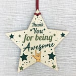 Thank You For Being Awesome Thank You Gift For Teacher Mentor Friend Plaque Star