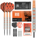 Target Raymond van Barneveld 23g Tungsten Darts Set