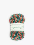 West Yorkshire Spinners Signature 4 Ply Yarn, 100g