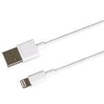 PremiumCord Câble Apple Lightning vers USB 2.0 pour Apple iPhone/iPad/iPod, connecteur Lightning 8 Broches vers fiche USB 2.0 Blanc 0,5 m