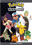 Pokemon The Series: Black &amp; White Complete Ssn 14