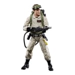 GHOSTBUSTERS - Plasma Series Wave 1 - Stantz Action Figure Hasbro