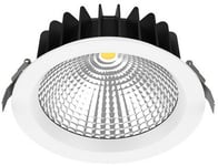 DOWNLIGHT WLD-R20 20W 4000K