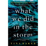 What We Did In The Storm (inbunden, eng)