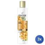 3x Pantene Miracle Shampooing 225 Ml. Enterrement Crépu Cactus