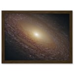 Hubble Space Telescope Image Spiral Galaxy NGC 2841 Blue Pink Emission Nebula Starbirth Region And A Majestic Disk Of Stars And Dust Lanes Art Print F