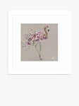 John Lewis Louise Luton 'Fleur' Flamingo Framed Print & Mount, 33.5 x 33.5cm, Pink