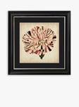 Pop Floral VI Framed Print & Mount, 56 x 56cm, Black/Pink