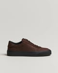 Moncler Monclub Sneakers Brown Suede