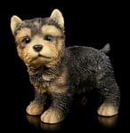 Hunde-Figur - Yorkshire Terrier Chiot Figure Animale Hunde-Baby Figurine