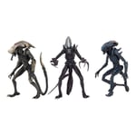 Neca Alien vs Predator - Alien Realistic Appearance - Set Complet de 3 figurines